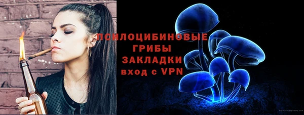 mdpv Медногорск