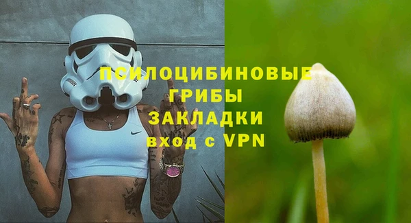 меф Мегион
