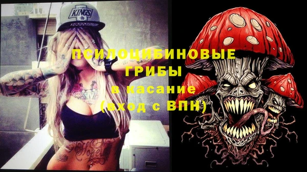 стафф Михайловск