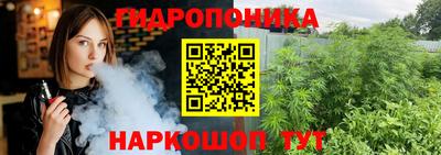 индика Бийск