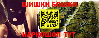 индика Бийск