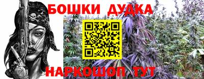 крисы Беслан