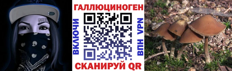 дарк нет наркотические препараты Мегион Псилоцибиновые грибы мухоморы OMG ССЫЛКА