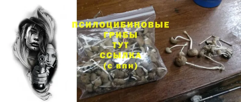 даркнет телеграм  Мегион  Галлюциногенные грибы Psilocybine cubensis  купить наркоту  mega вход 