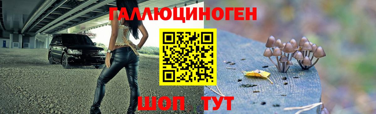Псилоцибиновые грибы GOLDEN TEACHER  Вход с VPN  Мегион 
